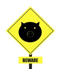 Beware of pig sign